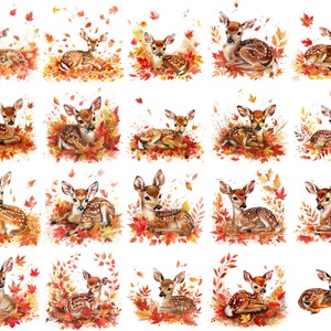 Bellissimo set di PNG clipart fulvo ad acquerello - 20 illustrazioni di cervi autunnali ad alta risoluzione 300 DPI per artigianato, decorazioni e inviti