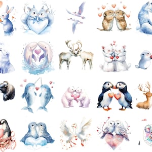 Clipart animaux de la Saint-Valentin arctique PNG, art animalier aquarelle amour, ours polaires romantiques, renards, pingouins et plus pour cartes et travaux manuels