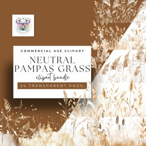 Art élégant de graminées - Clipart aquarelle d'herbe de pampa neutre - 24 éléments de décoration PNG de luxe