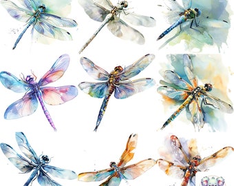 Watercolor Dragonfly Clipart: High-Resolution PNG Illustrations (300 DPI)