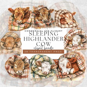 Highland Lullaby Set - Aquarela dormindo bebê vaca clipart - 28 ilustrações PNG pacíficas