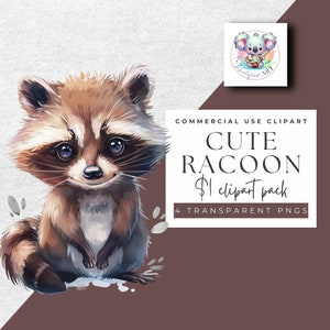 Clipart aquarelle de mignon bébé raton laveur de la forêt - 4 images transparentes - téléchargement immédiat