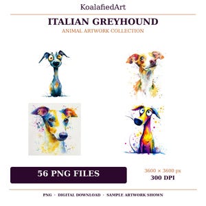 Puede incluir: Una colección digital de arte de Italian Greyhound con cuatro ilustraciones en acuarela de perros con salpicaduras de pintura vibrantes. El texto dice KoalafiedArt, ITALIAN GREYHOUND, ANIMAL ARTWORK COLLECTION, 56 PNG FILES, 3600 x 3600 px, 300 DPI.