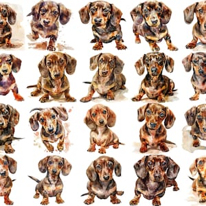Charmante Aquarell Dackel Welpen Clipart - 20 süße PNGs, 300 DPI, perfekt für Projekte zum Thema Haustier und Grußkarten