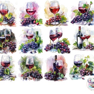 Imágenes prediseñadas de Pinot Noir en acuarela: elegantes ilustraciones de vino (PNG)
