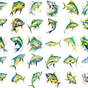 Clipart Mahi Mahi aquarelle PNG, 47 oeuvres d'art transparentes de dauphins avec des bleus et des jaunes vibrants pour des conceptions côtières, de pêche et nautiques