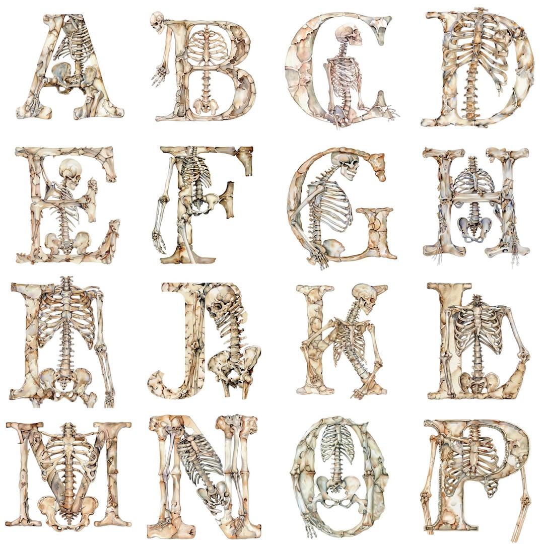Cursive Skeleton Name Watercolor Bone Skeleton Alphabet Clipart: 26 PNG Letters (digital ...