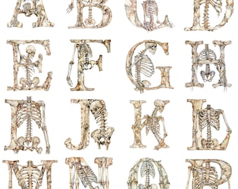 Watercolor Bone Skeleton Alphabet Clipart: 26 PNG Letters (Digital Download)
