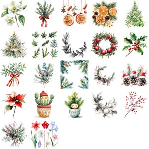 88 Clipart Botânico de Natal Independente: Elegante Pacote de Ilustrações de Férias Inspiradas na Natureza PNG