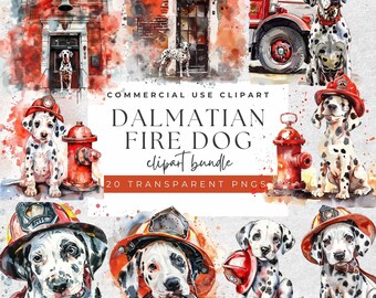 Dalmatian Fire Dog Clipart - 20 Watercolor PNGs Pack - Transparent Background - Commercial Use