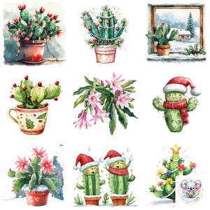 36 imágenes prediseñadas independientes de cactus navideños: paquete festivo de suculentas PNG