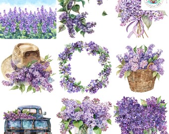 Clipart di lillà ad acquerello: 40 illustrazioni floreali PNG (300 DPI)