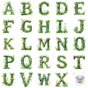 Clipart alphabet fougère aquarelle PNG, 26 lettres botaniques transparentes avec verdure et feuillage pour mariages dans les bois et décorations nature