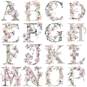 PNGs de clipart do alfabeto de orquídea: 26 letras florais de alta resolução e 300 DPI