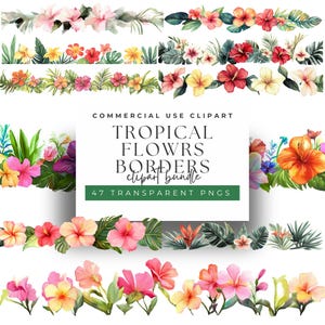 Aquarell tropische Blumen Bordüren Clipart PNG, transparente exotische Blumenbordüren, Hibiskus & Palme für Einladungen, Scrapbook und Dekor