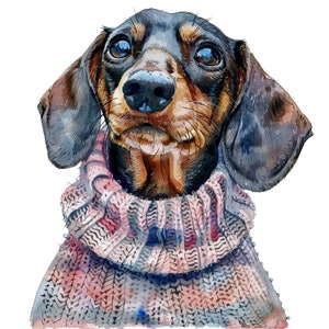 Gemütlicher Pullover Aquarell Dachshund Clipart Sammlung - 20 Charmante 300 DPI PNG Bilder von Dackeln in Gestrickter Kleidung