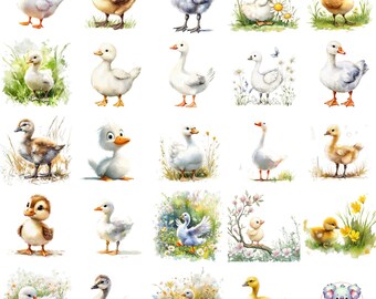 Watercolor Baby Goose Clipart: Spring Duckling PNG (Digital Download)