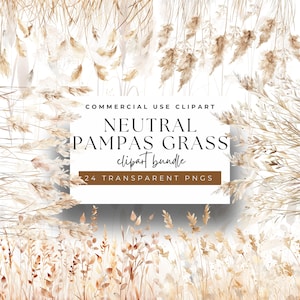 Clipart de grama de pampas neutra em aquarela - 24 PNGs terrosos, 300 DPI - Hastes de pampas serenas