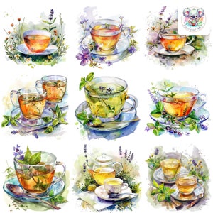 Chá de ervas em aquarela relaxante Clipart PNGs - 20 imagens detalhadas de 300 DPI para projetos de bem-estar e temas de natureza