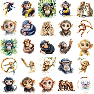 Monkey Clipart Set: 47 Jungle Animal Illustrations (PNG, 300 DPI)