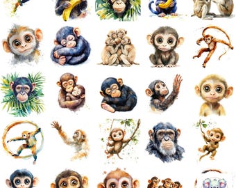 Conjunto de imágenes prediseñadas de monos: 47 ilustraciones de animales de la selva (PNG, 300 DPI)