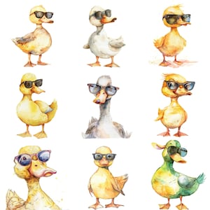 Stilvolle Aquarell Ente Cliparts PNGs - 20 entzückende 300 DPI Enten mit Sonnenbrille für Einladungen, Scrapbooking und Wohnkultur
