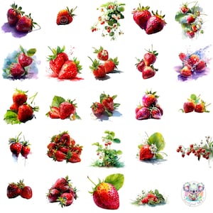 Fraise d'été Clipart PNG, 48 illustrations de baies aquarelles, art fruitier Transparent pour cuisine, mariage, scrapbooking et design