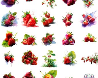 Aquarel aardbei clipart, zomer bessen illustraties (PNG)