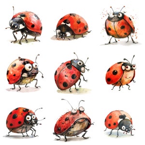 Collezione PNG di clipart di coccinelle ad acquerello stravaganti: 20 immagini dettagliate di coccinelle da 300 DPI ideali per progetti artistici creativi e divertenti