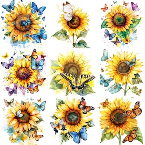 Tournesol aquarelle avec papillons, clipart PNG : 20 motifs floraux haute résolution 300 ppp pour travaux manuels, faire-part et décoration