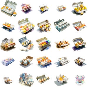 Cartón de huevos en acuarela (imagen PNG), 47 huevos frescos de granja transparentes, arte rústico en cartón para decoración de cocina, tarjetas de recetas y diseño de manualidades.