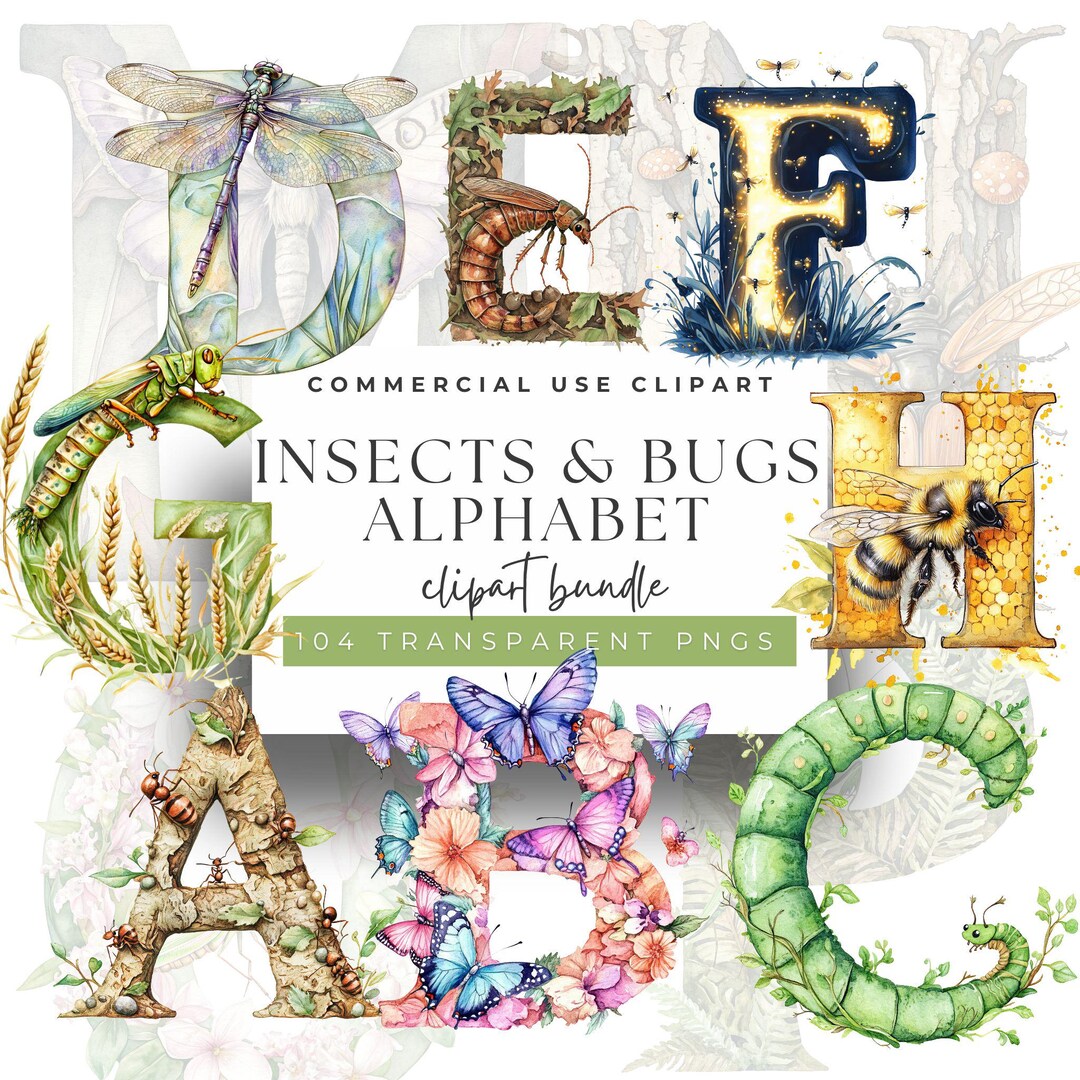 Watercolor Insect Alphabet Clipart: Bug ABC PNG Font for Learning - Etsy