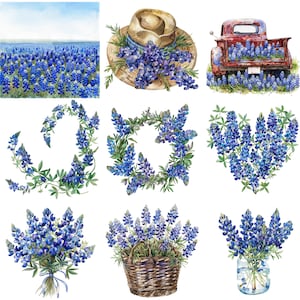 Watercolor Bluebonnet Clipart: 40 Floral PNG Illustrations (300 DPI)