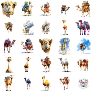 Skurrile Kamel Clipart PNG, 28 Aquarell lustige Kamel Kunst, transparente Wüsten Wohnwagen & süße Kamel Charaktere für Handwerk und Design