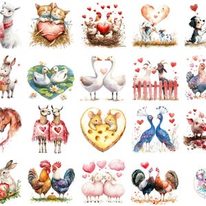 Clipart animaux de la ferme Saint-Valentin PNG, aquarelle amour animaux de la ferme, vaches romantiques, poulets, chevaux et plus pour cartes et travaux manuels