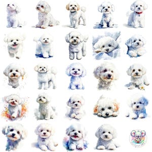 Aquarell Bichon Frise Clipart PNG, transparente süße weiße Hund Kunst für Tierliebhaber, Kinderzimmerdekor, Einladungen & Scrapbooking