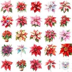 Poinsettia Clipart: 48 Christmas Flower Designs (Digital Download)