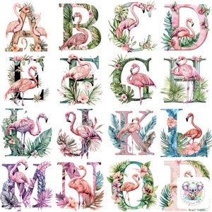 Exotic Flamingo Alphabet Letter Alphabet Cliparts PNGs / Conjunto completo de 26 letras a 300 DPI / Perfecto para proyectos e invitaciones con temática de verano
