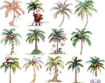 Clipart de palmera navideña: Ilustraciones tropicales (PNG, 300 DPI)