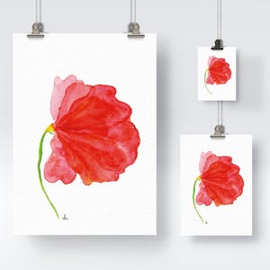 Fine Art Print Poster - Blooming Flower