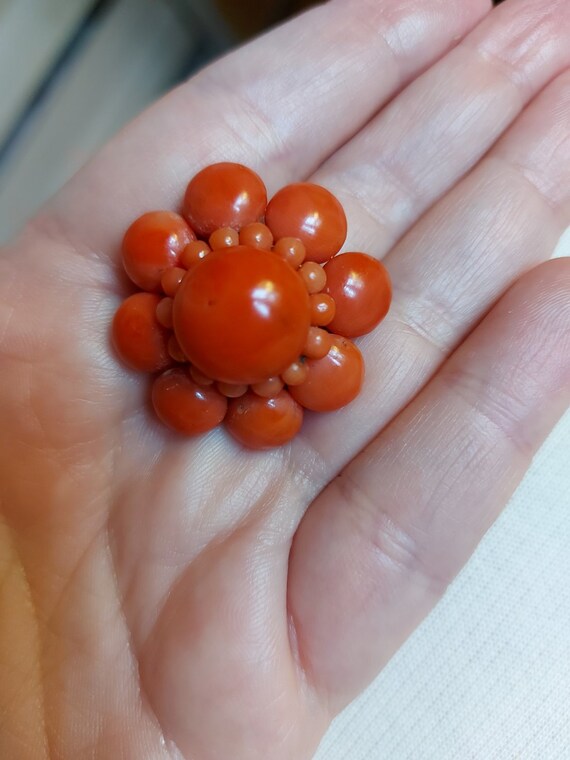 Antique Victorian Natural Red Coral Cluster Brooc… - image 5