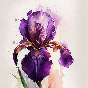 May include: Watercolor painting of a purple iris flower with green leaves and a light pink and orange background.