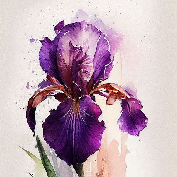 Iris púrpura - Impresión de arte floral - Ilustración de acuarelas botánicas - Descarga digital instantánea - Arte de pared imprimible - Decoración del hogar