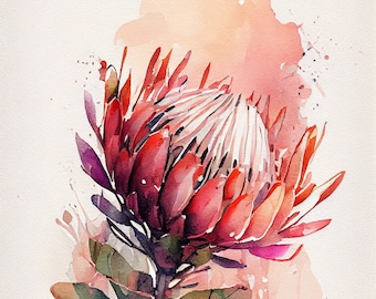 May include: Watercolour painting of a red and pink protea flower with green leaves. The flower is in bloom and has a white centre. The background is a soft pink watercolour wash.