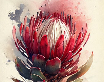 May include: A watercolour painting of a red and white protea flower with green leaves. The flower is in bloom and the petals are open. The background is a light beige colour.