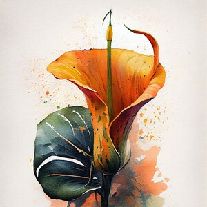 Orange Anthurium - Flower Art Print - Botanical Watercolors Illustration - Instant Digital Download - Printable Wall Art - Home Decor