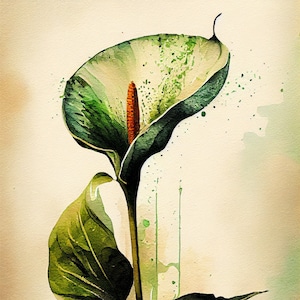 Green Anthurium - Flower Art Print - Botanical Watercolors Illustration - Instant Digital Download - Printable Wall Art - Home Decor