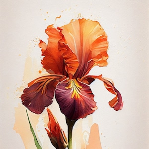 Peut inclure: Une peinture à l'aquarelle d'une seule fleur d'iris orange et violette avec un bouton. La fleur est peinte dans un style réaliste avec des détails délicats. L'arrière-plan est un beige clair doux avec de subtiles lavis d'aquarelle.
