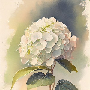White Hydrangea  - Flower Art Print - Botanical Watercolors Illustration - Instant Digital Download - Printable Wall Art - Home Decor