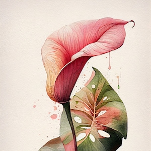 Pink Anthurium - Flower Art Print - Botanical Watercolors Illustration - Instant Digital Download - Printable Wall Art - Home Decor